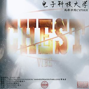 电子科技大学成都学院2023CYPHER