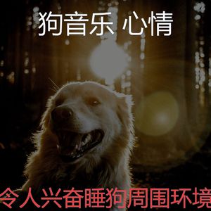精彩睡狗环境