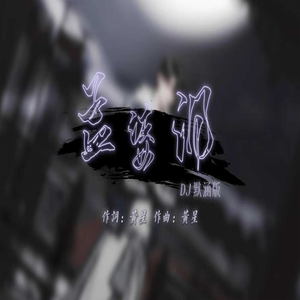 孟婆泪 (DJ默涵版)