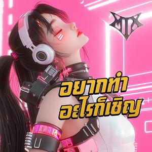 อยากทำอะไรก็เชิญ