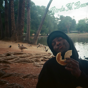 Birds N Bees
