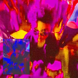 Beat XII: Acatalepsia