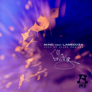 Falling (Michel Lavie Remix)