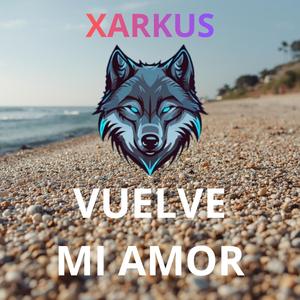 VUELVE MI AMOR