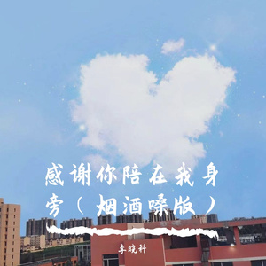 感谢有你陪在我身旁（烟酒嗓版）