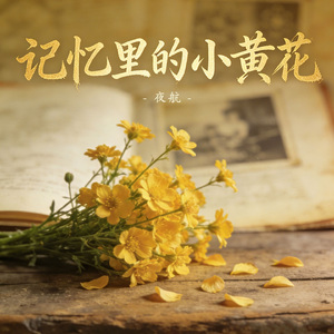 记忆里的小黄花