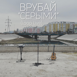 Серыми (loop live)