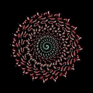 Ay Asmanda Man Pasta