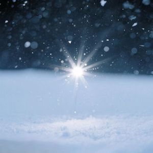 樱花树下的守护