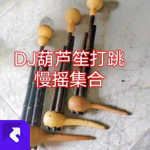 DJ葫芦笙傈僳打跳慢摇集合 (Remix)