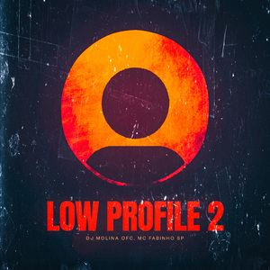 Low Profile 2
