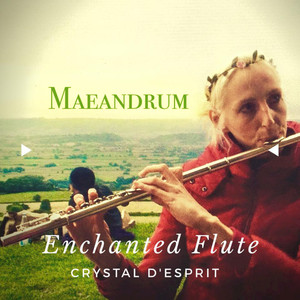 Maeandrum