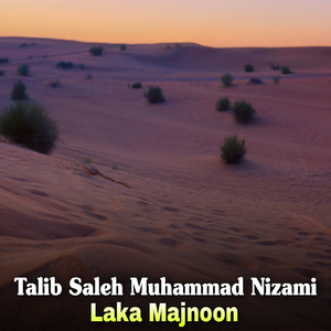 Janan Me Tlalai Musafar Da