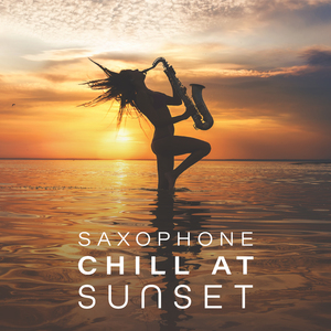 Wonderful Sunset Clips to Hang Loose