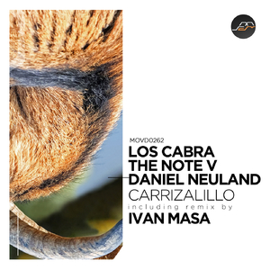 Carrizalillo (Ivan Masa Remix)