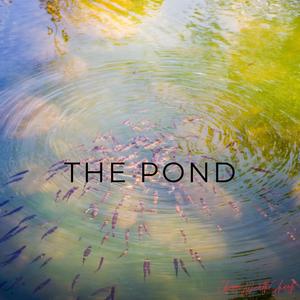 The Pond