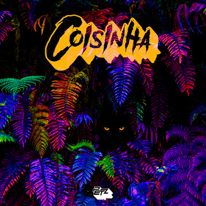 Coisinha