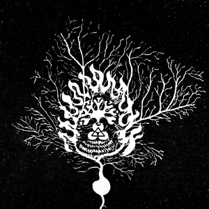 Lodge of Twin Lights