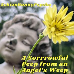 A Sorrowful Peep from an Angel’s Weep