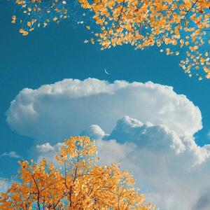 写了好多事都是关于你