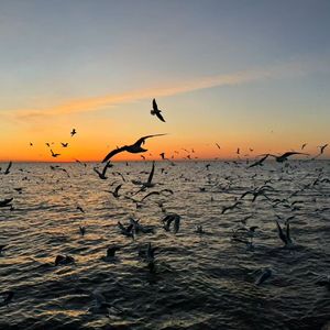 梦想的旅途-整曲 伴奏