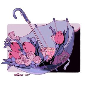 空欢喜