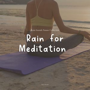 Rain for Meditation, Pt. 13