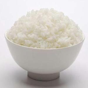 究极下饭(Prod. Young Godzilla)