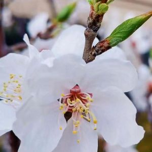 相拥彩虹