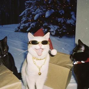 爱上你之前的我