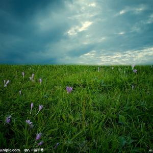 亲爱的宝贝，快点儿睡