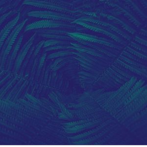 安静的河流与溪流声音