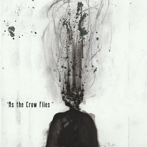 As the Crow Flies