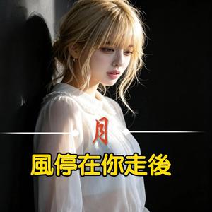 風停在你走後