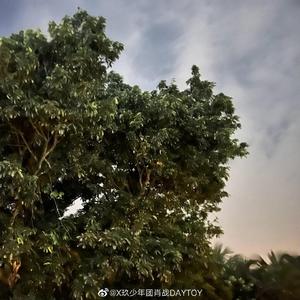 给我一个理由忘记