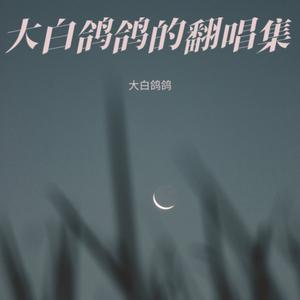 乌兰巴托的夜晚