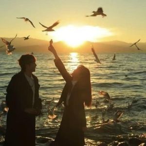 【Free】“The One You Want ”Pop&Guitar Type Beat