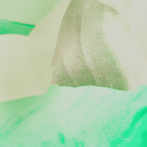 日日叢林探險記