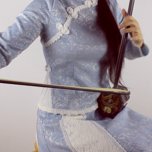 「二胡」枉凝眉（Cover 陈力）