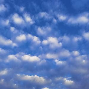 《世界写满你的名字》词曲唱赵鑫