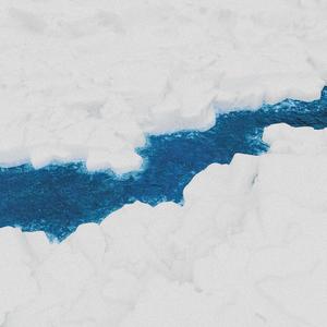 一半一半（但是我不想要一半一半）