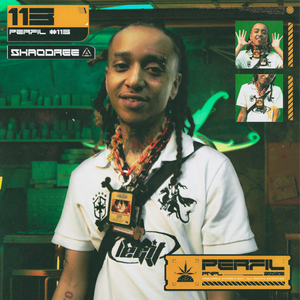 Perfil #113 - Artista do Milênio