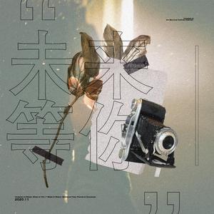 Life Goes On（中文填词版）（翻自 葡萄树）