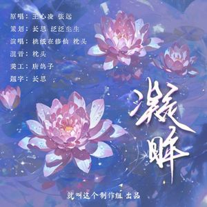 凝眸（cover：王心凌）