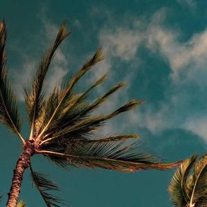 End of the Summer Story