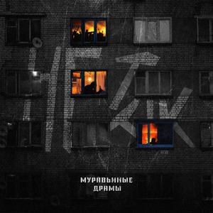 Муравьиные драмы