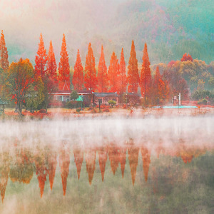 바스락 소리에 귀 기울이다