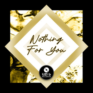 Nothing For You (Radio Edit)