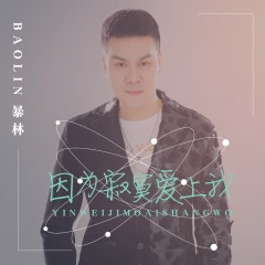 因为寂寞爱上我 (DJ版)