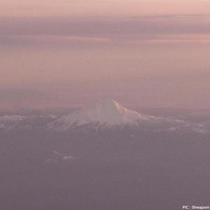 [Free] "Fuji" Melody Guitar Type Beat